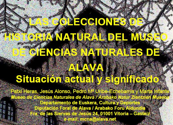 Colecciones del MCNA