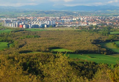 Desde Montes de Vitoria (mayo 2013)