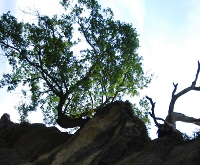 San Cristobal (agosto 2014)